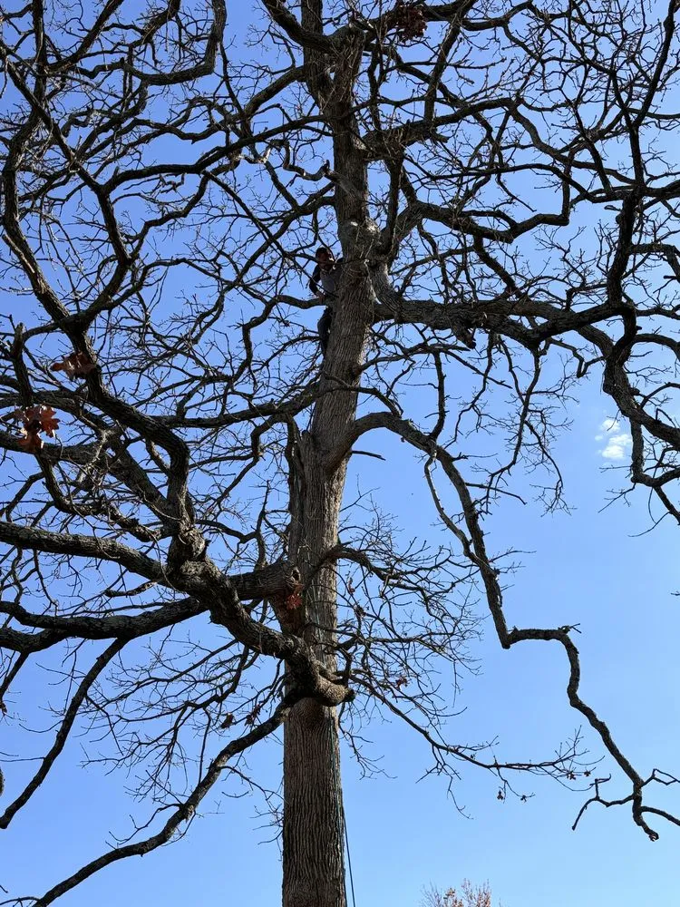 Custom residential landscaping in De Soto, MO - Allens tree service