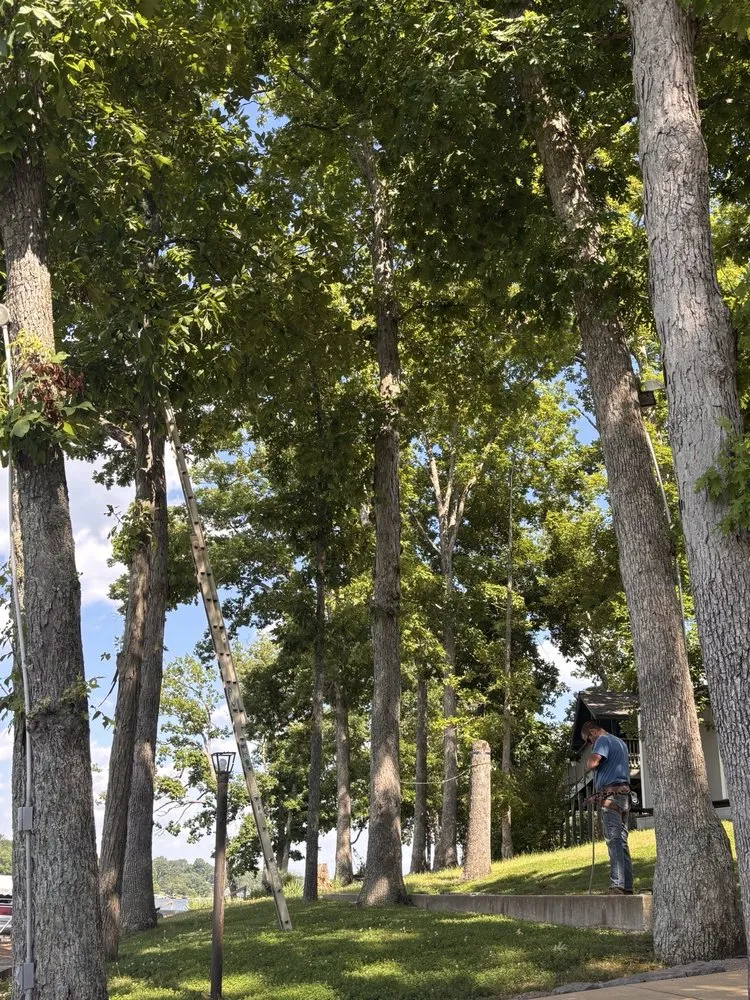 Reliable outdoor landscaping in De Soto, MO - Allens tree service