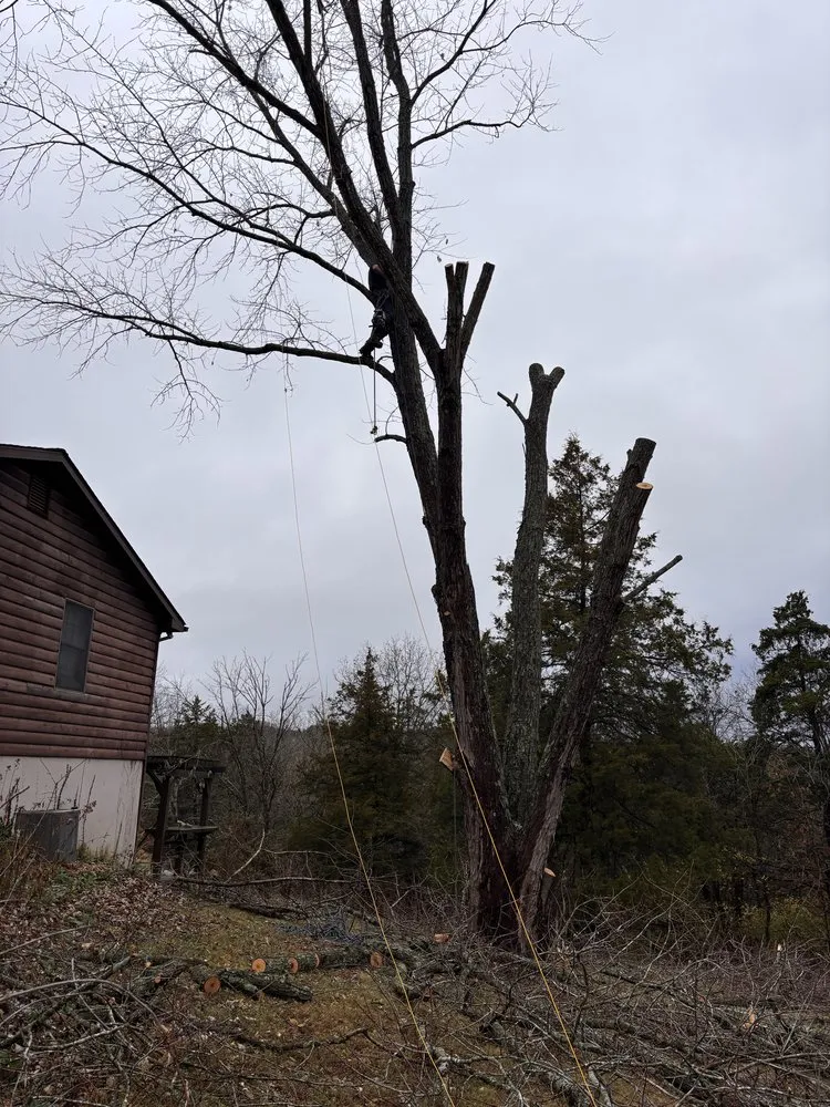 Custom yard cleanup service with custom design across De Soto, MO - Allens tree service