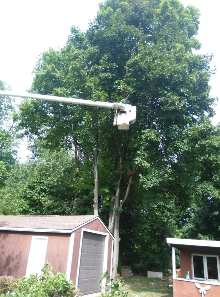 Affordable yard maintenance in Poughquag, NY - Allen's Tree Service