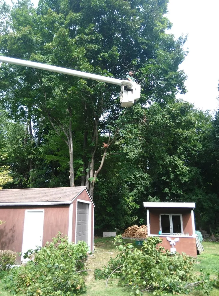 Local yard maintenance experts serving Poughquag, NY - Allen's Tree Service