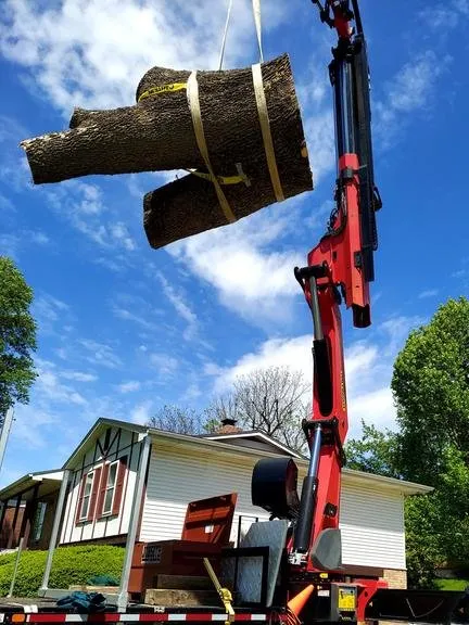 Trusted outdoor landscaping for residential properties in Wentzville, MO by Allen's Tree Service