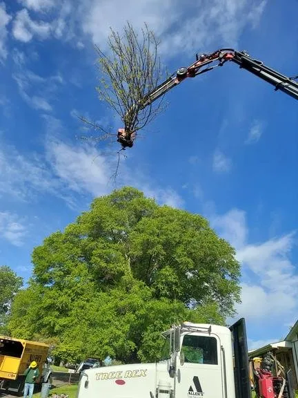 Trusted landscape installation in Wentzville, MO - Allen's Tree Service