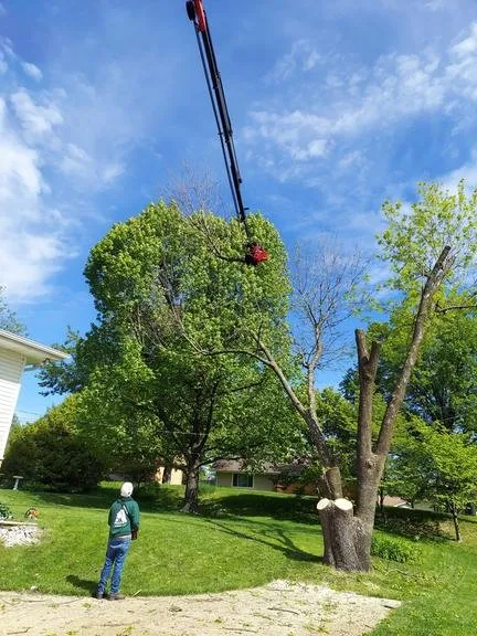 Top-rated lawn mowing service in Wentzville, MO - Allen's Tree Service