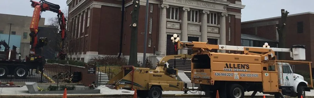 Expert yard cleanup service with custom design across Wentzville, MO - Allen's Tree Service