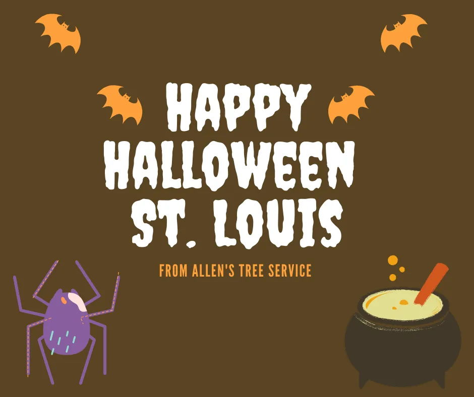 Top-rated yard cleanup service near you across Wentzville, MO - Allen's Tree Service