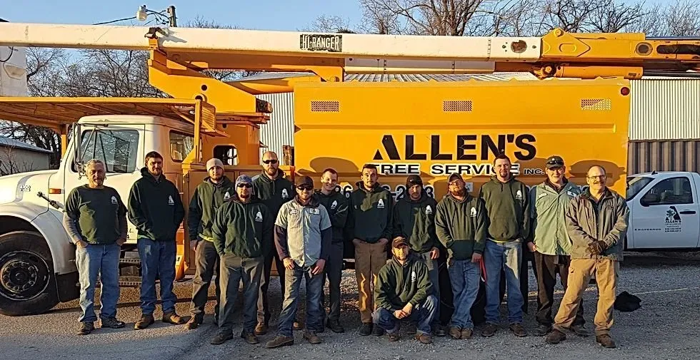 Expert yard cleanup service in Wentzville, MO by Allen's Tree Service