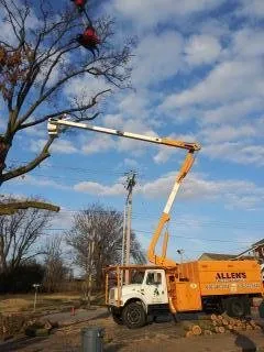 Expert garden landscaping for outdoor upgrades across Wentzville, MO - Allen's Tree Service