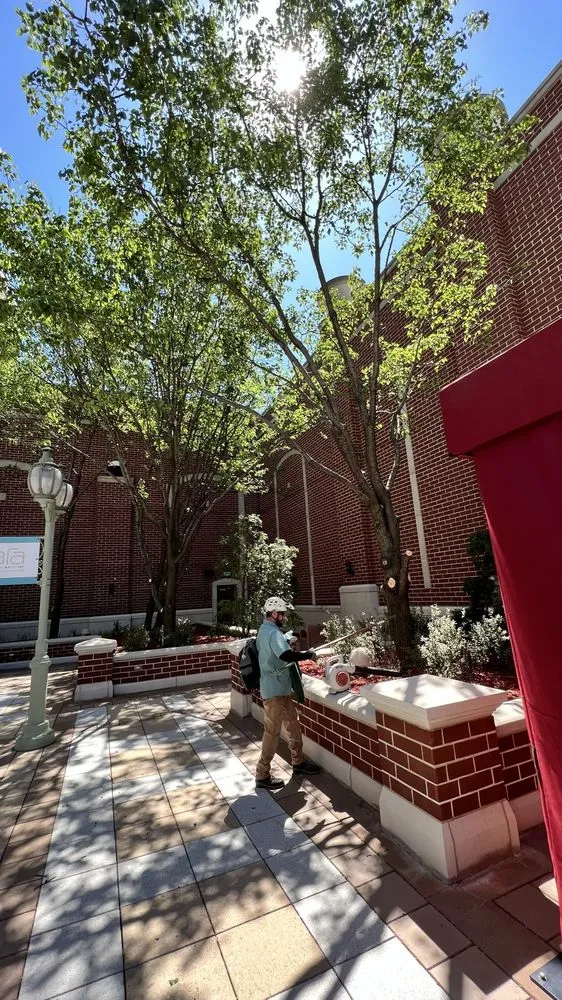 Affordable residential landscaping for beautiful yards in Wentzville, MO by Allen's Tree Service