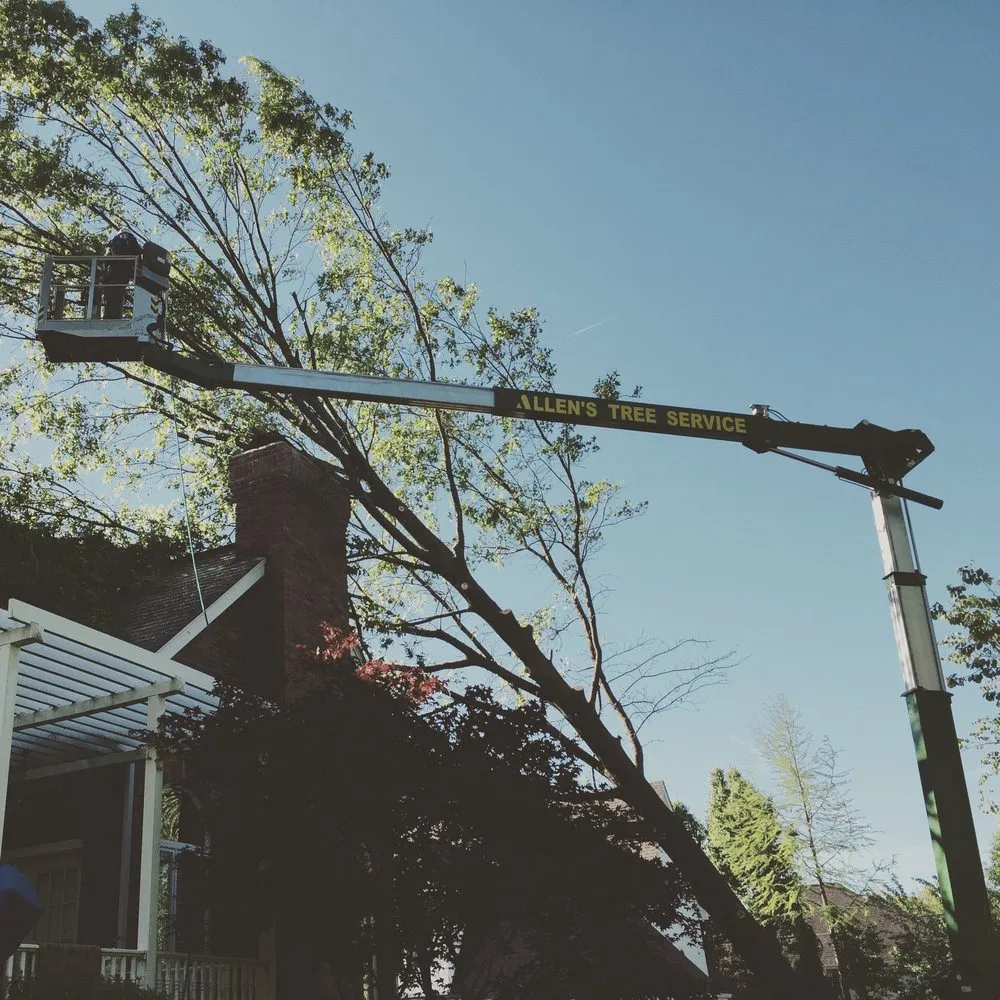 Affordable yard maintenance for outdoor upgrades across Wentzville, MO - Allen's Tree Service