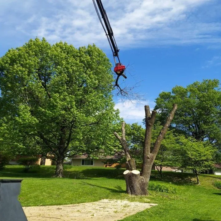 Reliable landscape design in Wentzville, MO - Allen's Tree Service