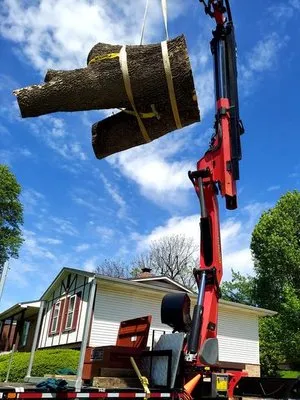 Allen's Tree Service