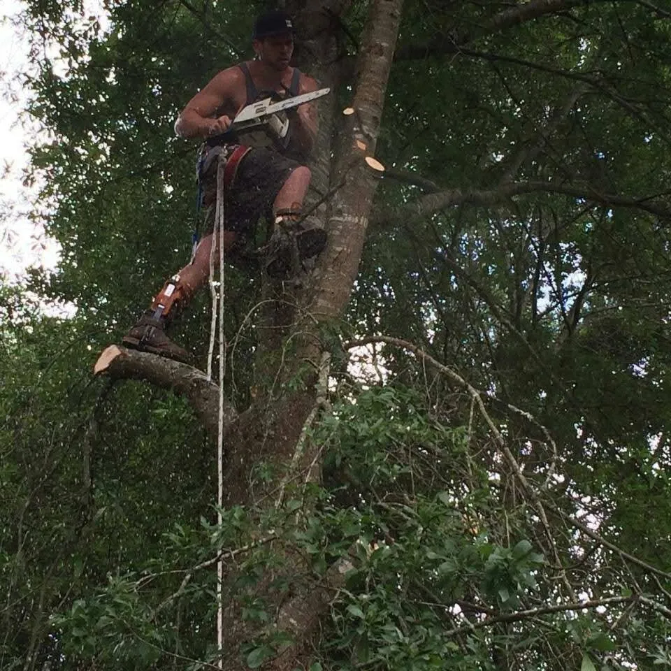 Custom landscape installation experts serving Wilmington, NC - Allen's Tree Stump and Landscaping