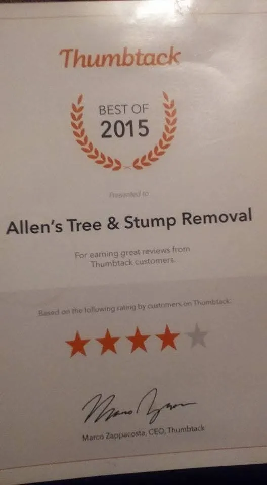 Local outdoor landscaping experts serving Wilmington, NC - Allen's Tree Stump and Landscaping