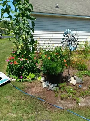 Allen's Tree Stump and Landscaping Logo