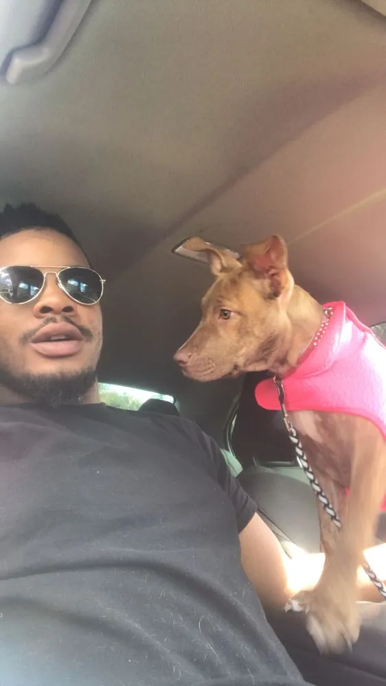 Expert landscaping services in DeLand, FL by Allen’s Yard Care