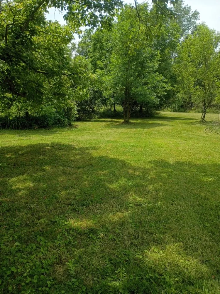 Trusted lawn mowing service for year-round maintenance across Oxford, OH - Allenscape Solutions