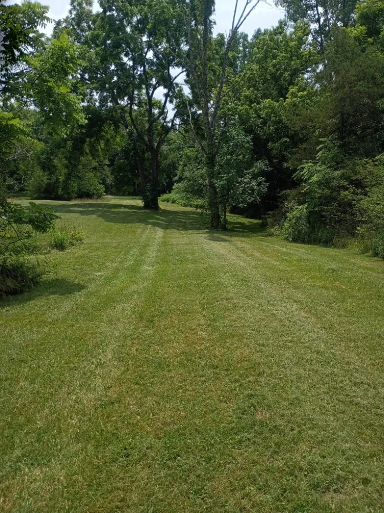 Affordable lawn mowing service experts serving Oxford, OH - Allenscape Solutions