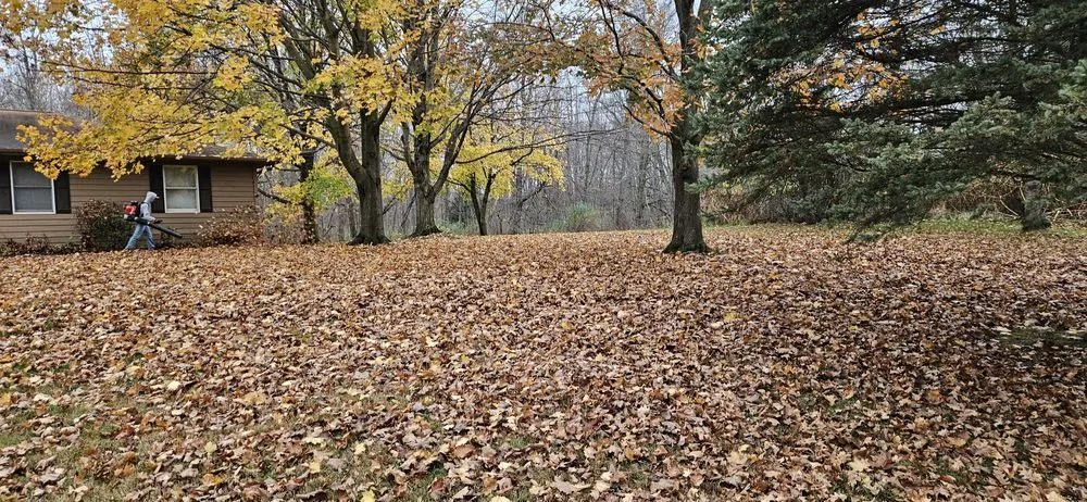 Reliable lawn care service with custom design in Capac, MI by Allenton Lawn