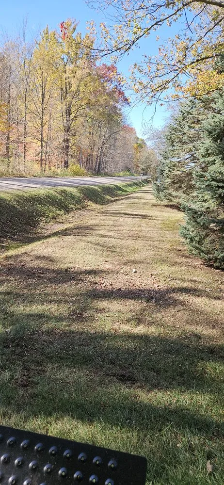 Custom yard maintenance in Capac, MI - Allenton Lawn