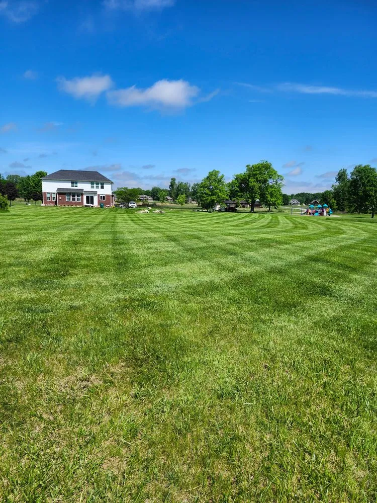 Custom yard cleanup service near you across Capac, MI - Allenton Lawn