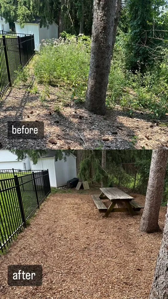 Affordable landscaping services in Allentown, PA - Allentown Lawn & Landscape