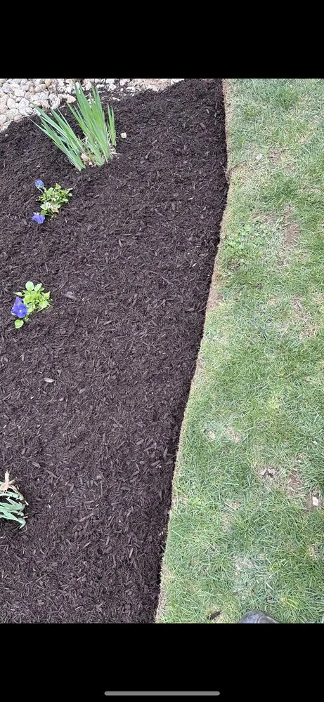 Trusted outdoor landscaping for homes in Allentown, PA by Allentown Lawn & Landscape