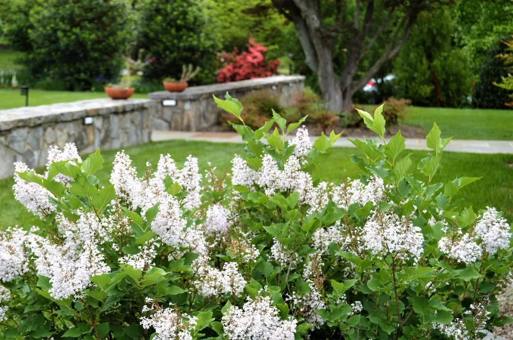 Reliable outdoor landscaping for outdoor upgrades in Rockville, MD by Allentuck Landscaping