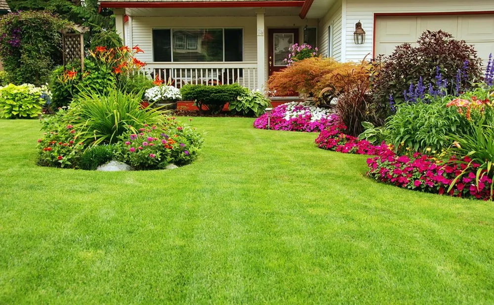 Custom yard cleanup service in Rockville, MD - Allentuck Landscaping