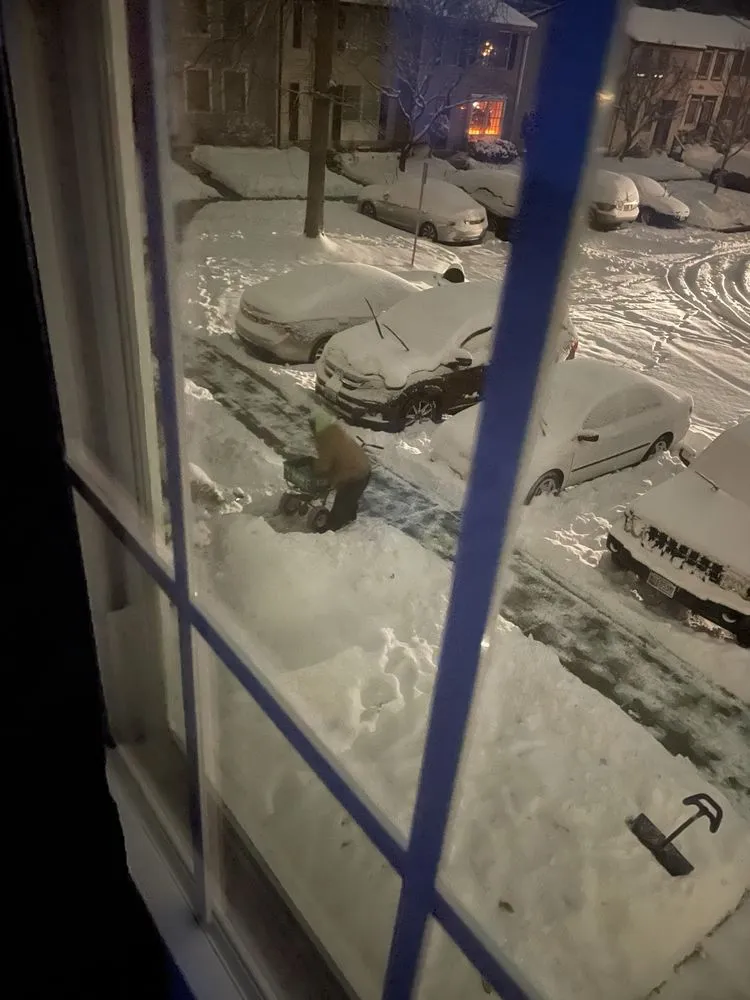 Custom garden landscaping in Rockville, MD - Allentuck Landscaping