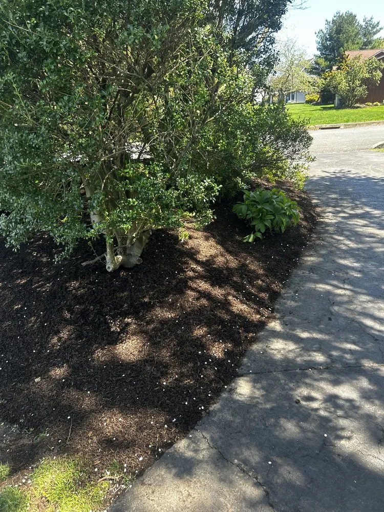 Expert lawn care service for beautiful yards across Perkasie, PA - Alles Landscape