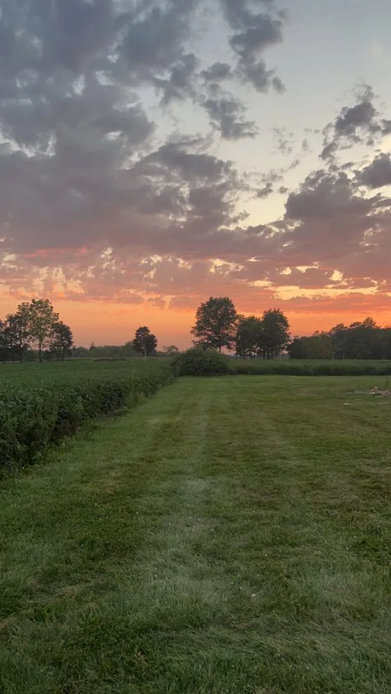 Affordable garden landscaping in Perkasie, PA - Alles Landscape