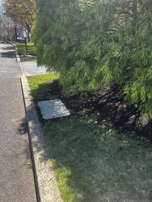 Alles Landscape Logo