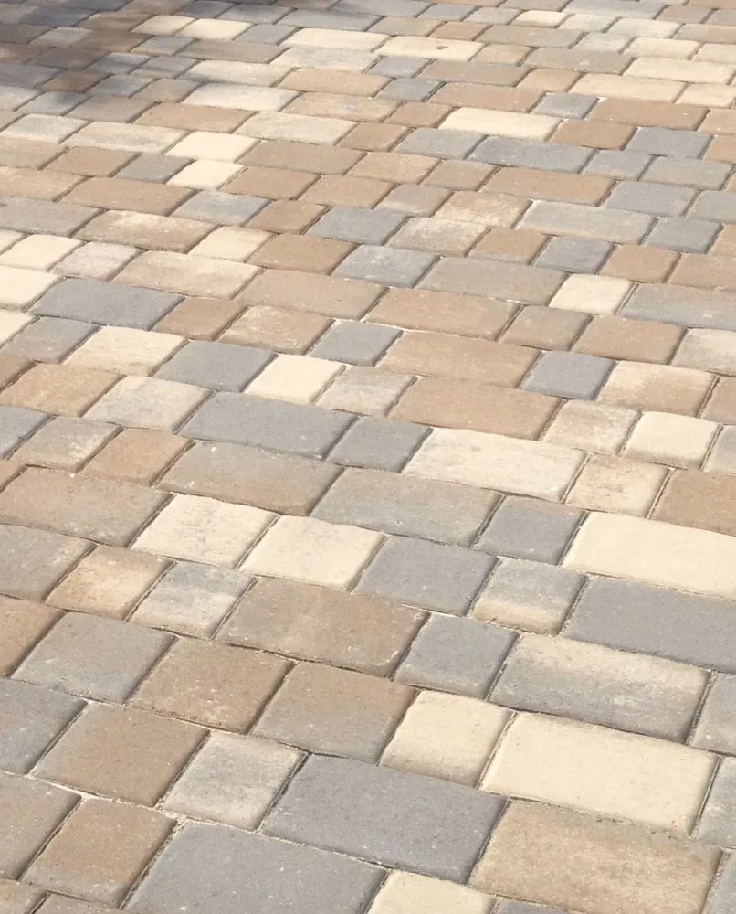 Top-rated yard maintenance experts serving Miami, FL - Alle’s Landscaping and Designs