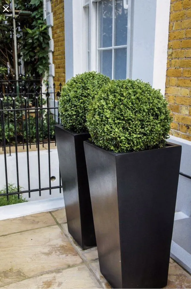 Top-rated landscape design in Miami, FL by Alle’s Landscaping and Designs