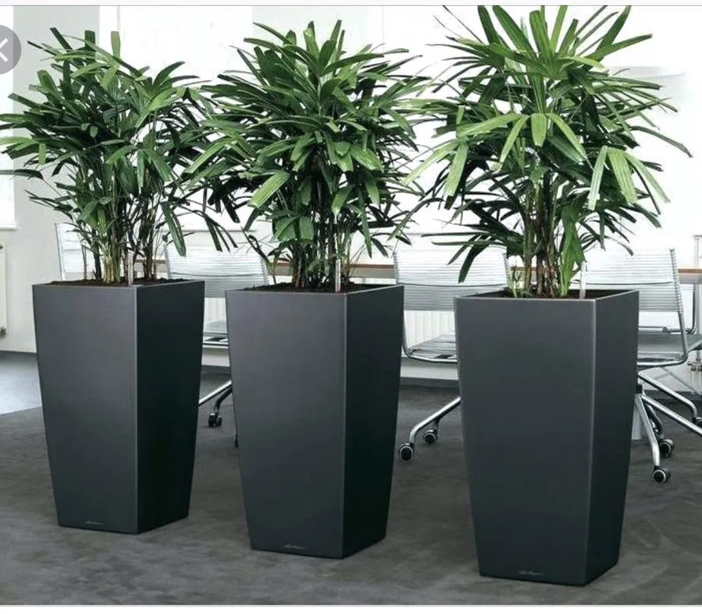 Custom landscape design in Miami, FL - Alle’s Landscaping and Designs