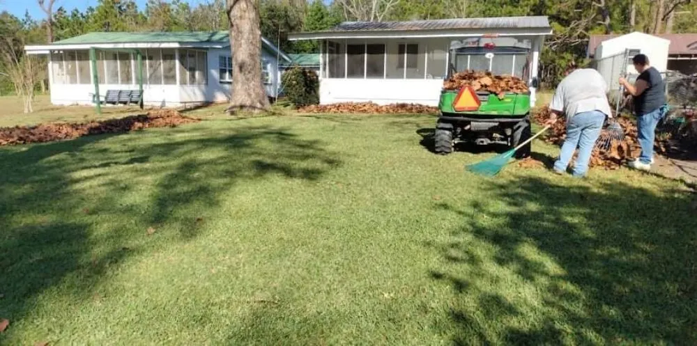 Local yard cleanup service experts serving Donalsonville, GA - Alley Lawn And More