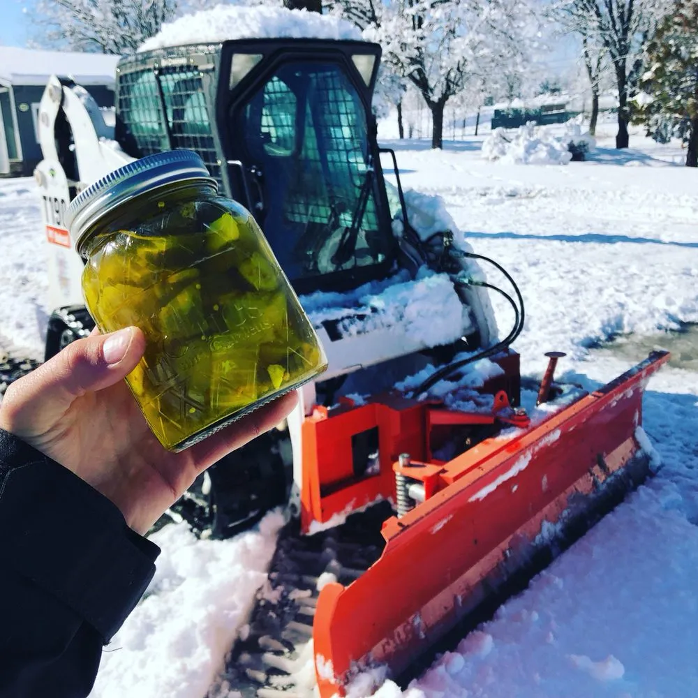 Trusted yard cleanup service in Sonora, CA by Alley Tree & Landscape