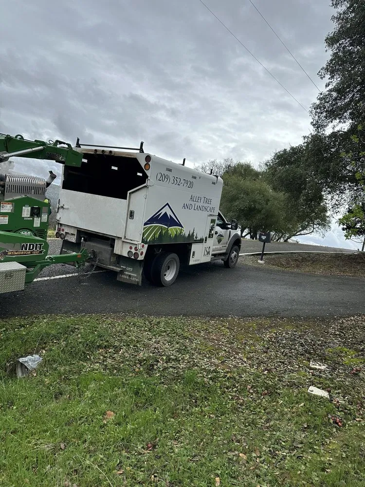 Custom landscape design near you across Sonora, CA - Alley Tree & Landscape