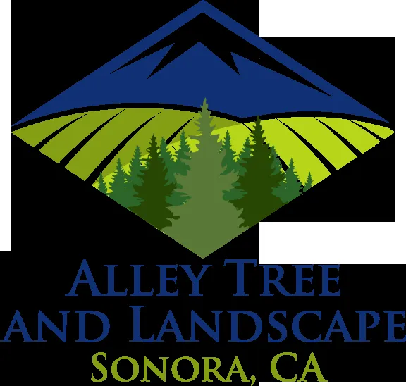 Custom lawn care service in Sonora, CA by Alley Tree & Landscape