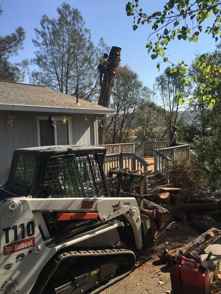 Professional residential landscaping experts serving Sonora, CA - Alley Tree & Landscape