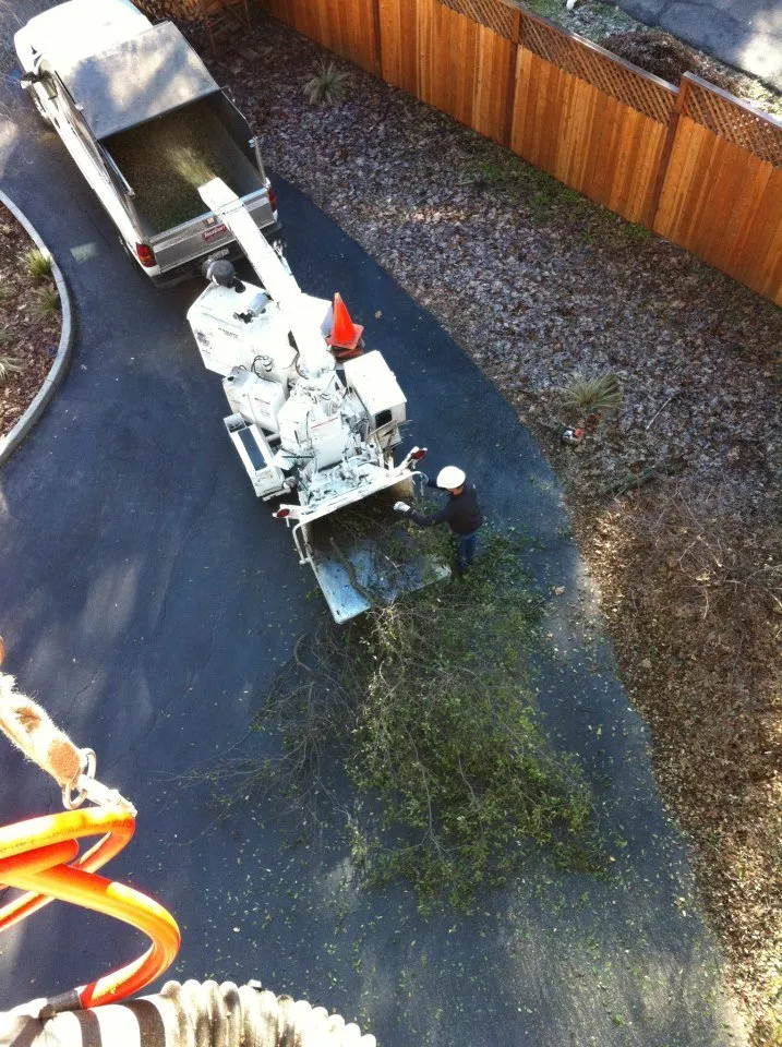 Affordable outdoor landscaping with custom design in Sonora, CA by Alley Tree & Landscape