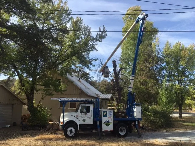 Expert yard cleanup service in Sonora, CA - Alley Tree & Landscape