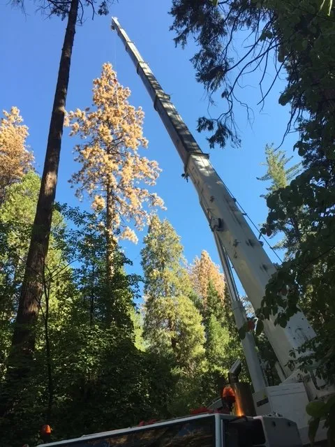 Professional residential landscaping experts serving Sonora, CA - Alley Tree & Landscape