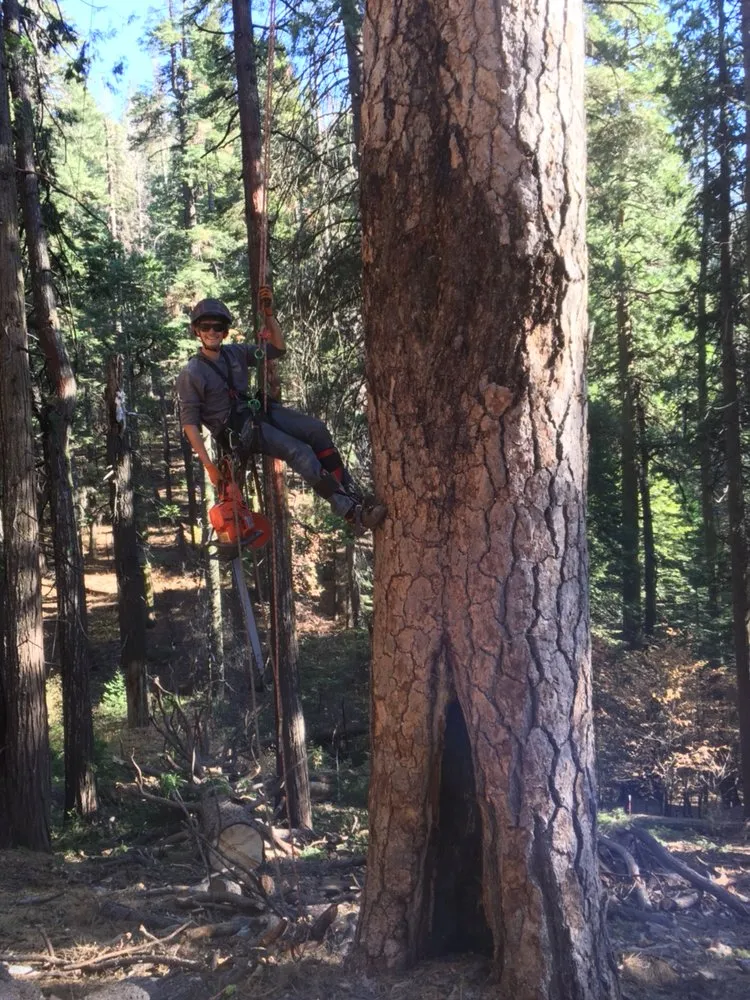 Affordable landscaping services for homes in Sonora, CA by Alley Tree & Landscape