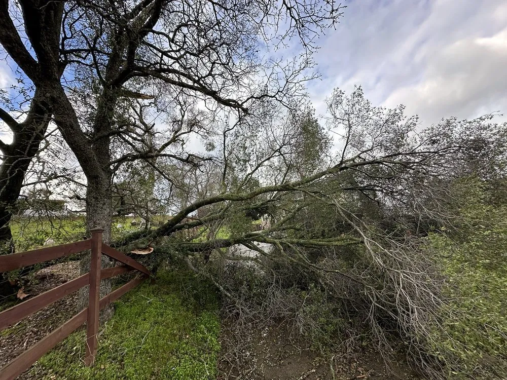 Expert outdoor landscaping experts serving Sonora, CA - Alley Tree & Landscape
