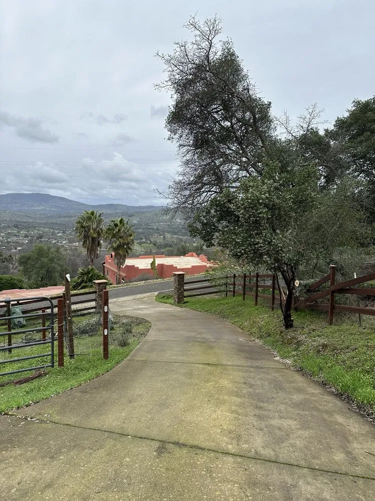 Trusted landscape installation in Sonora, CA - Alley Tree & Landscape