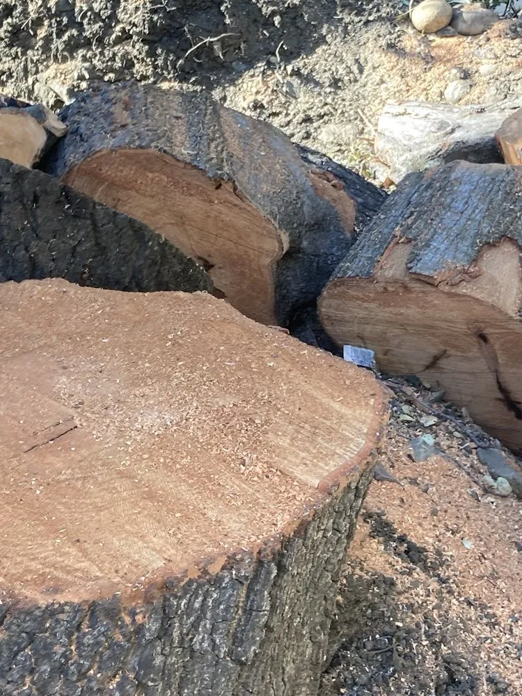 Affordable garden landscaping in Sonora, CA by Alley Tree & Landscape