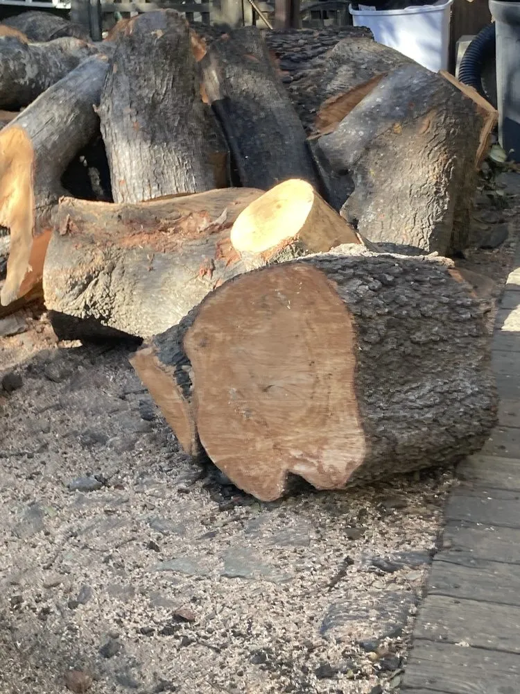 Local lawn mowing service in Sonora, CA by Alley Tree & Landscape