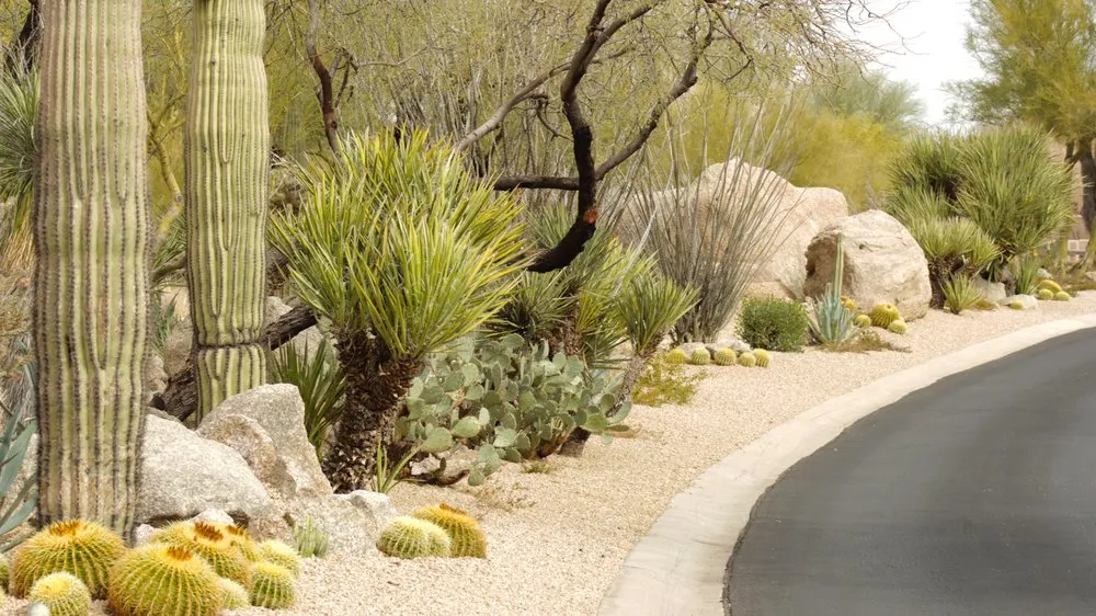 Top-rated lawn care service in Phoenix, AZ - Alley Verde Landscaping